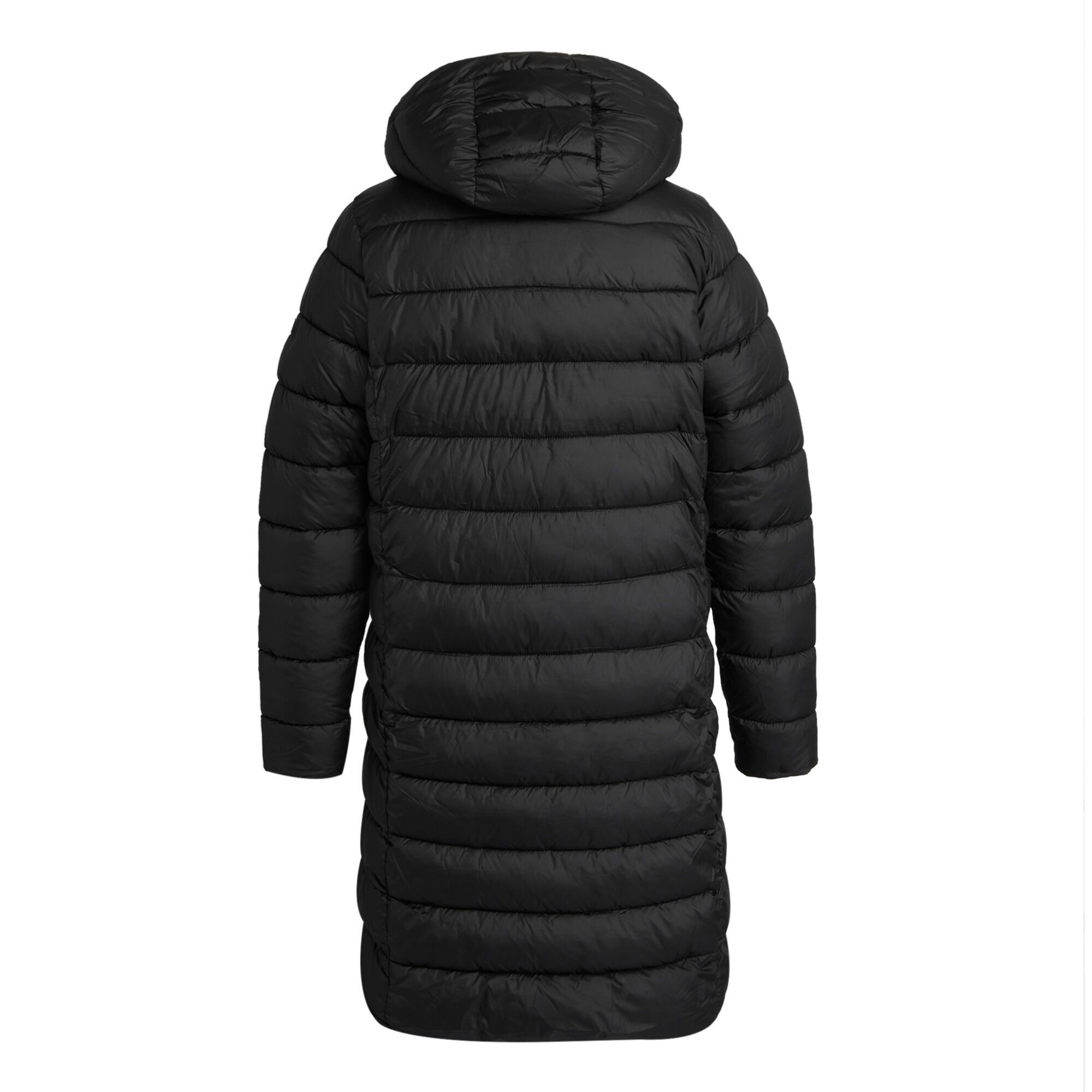 Regatta - Womens/Ladies Andia Baffled Padded Jacket