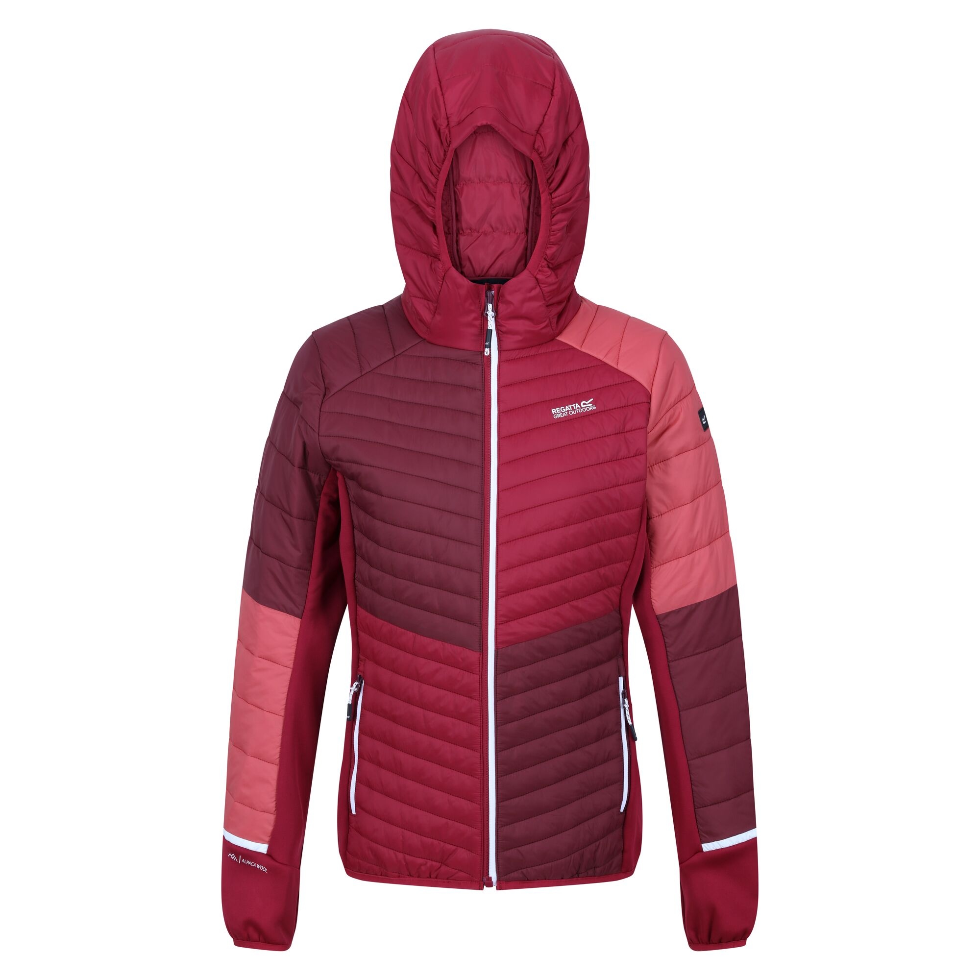 Regatta - Womens/Ladies Trutton II Baffled Hooded Jacket