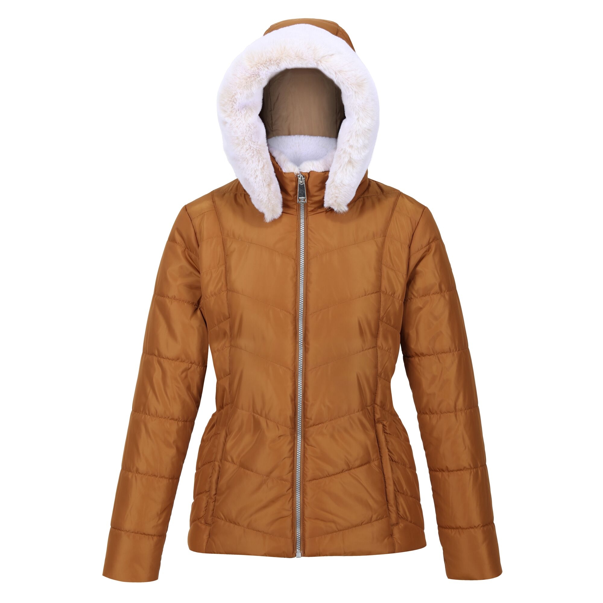 Regatta - Womens/Ladies Wildrose Baffled Padded Hooded Jacket