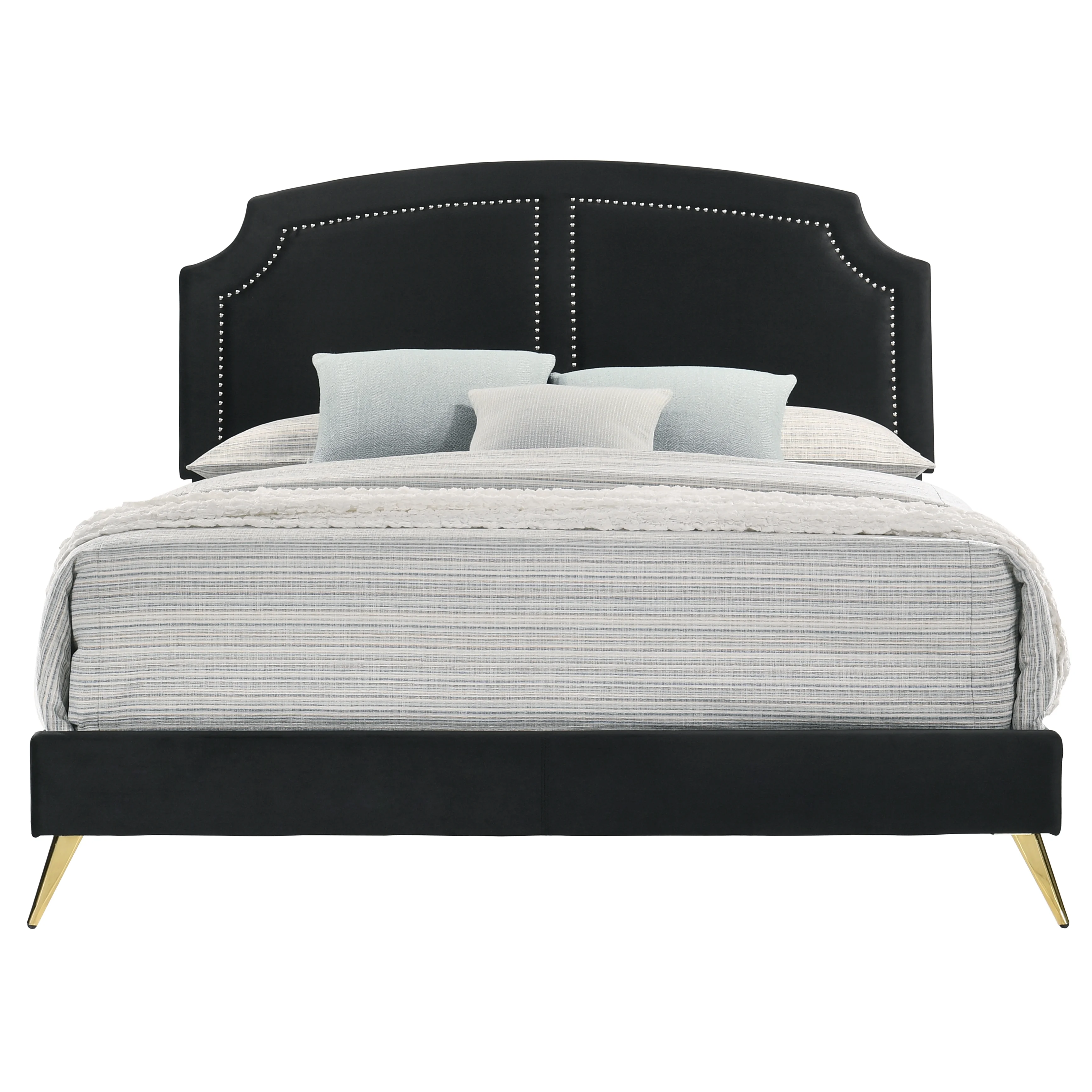 ACME Zeena Queen Bed in Black Velvet