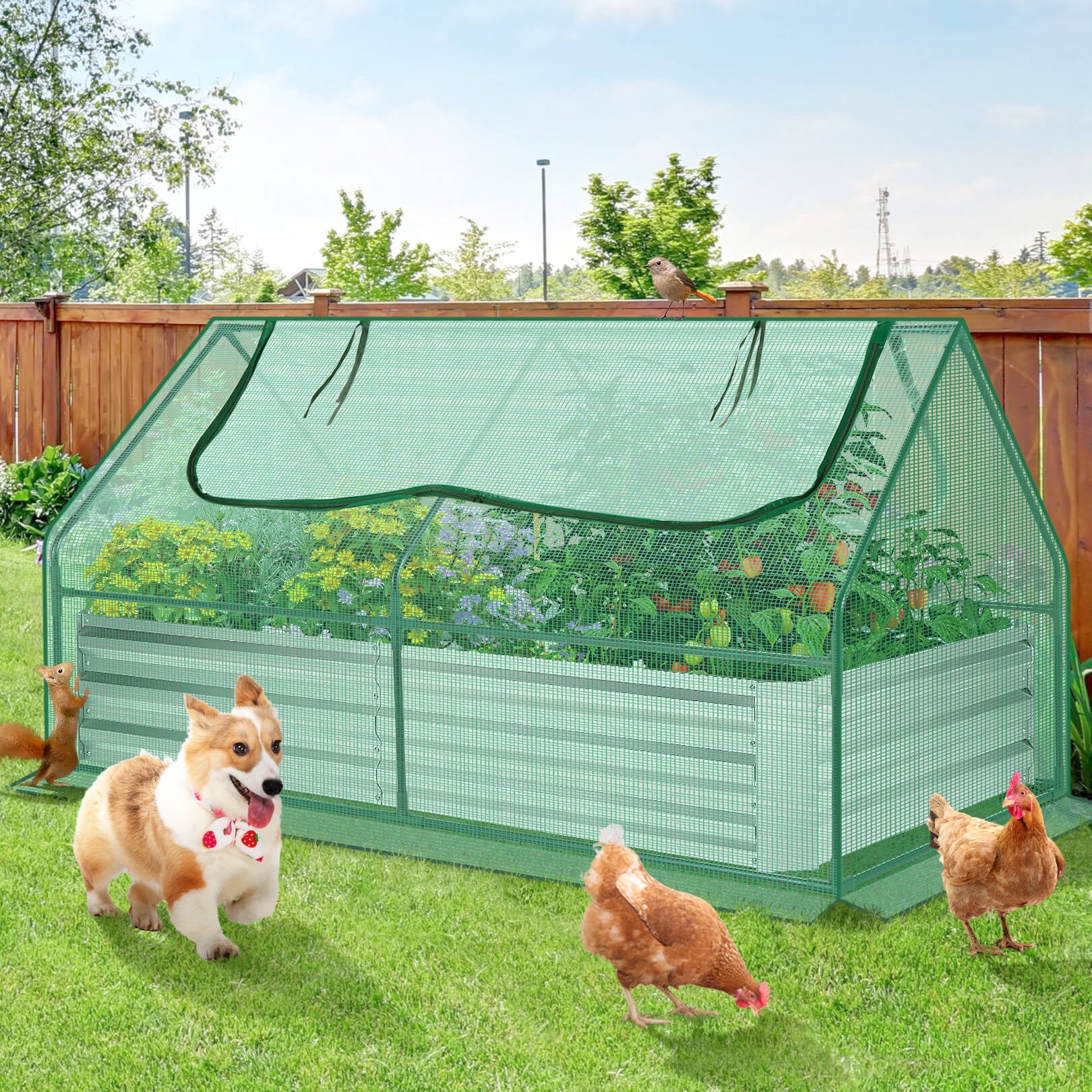 SEJOV 6x3x1ft Galvanized Raised Garden Bed with Cover Metal Planter Box Kit w/2 Large Windows Mini Greenhouse Planter Box Outdoor for Vegetables Flowers Herbs