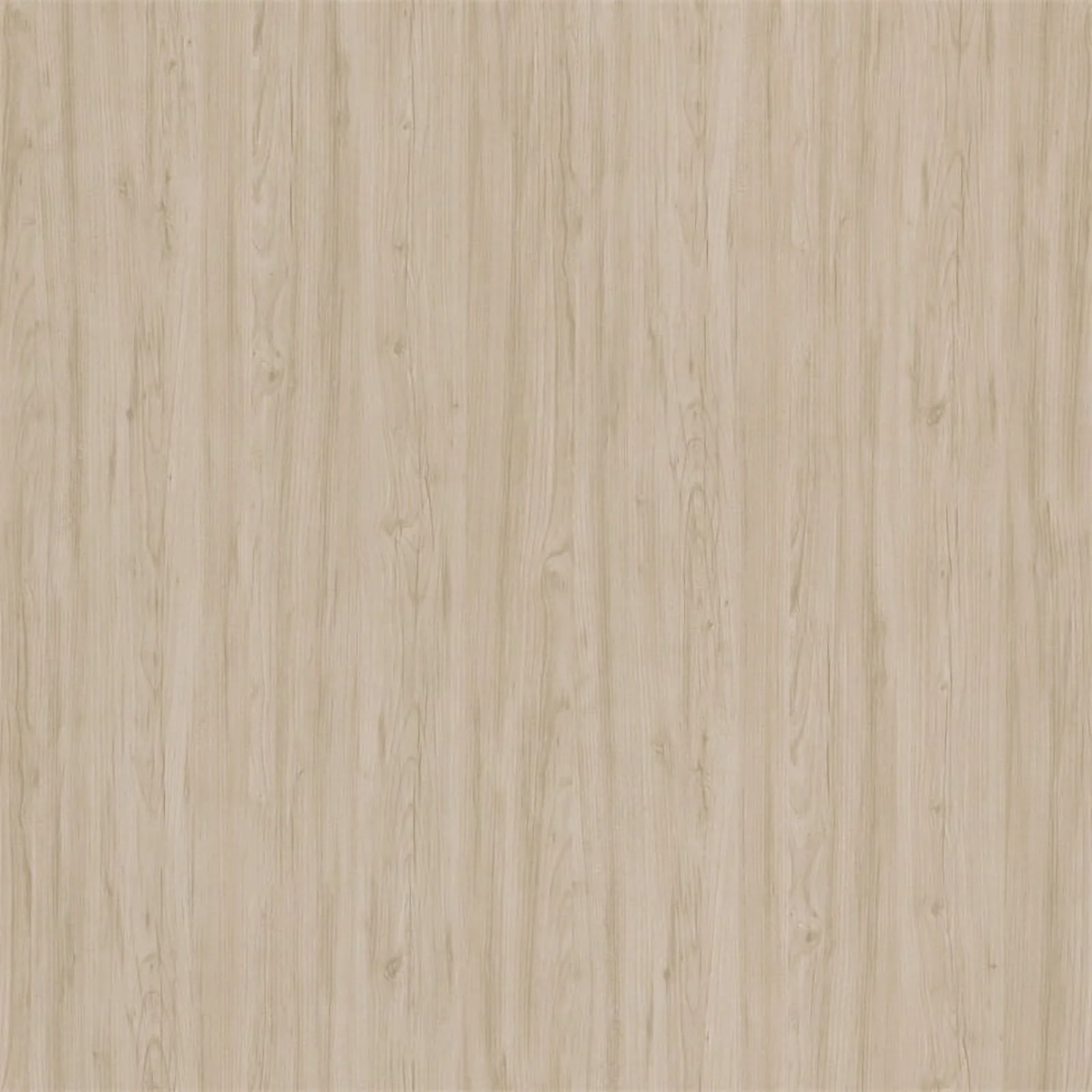 Studio C 2 Drawer Lateral File Cabinet in Natural Elm - Engineered Wood