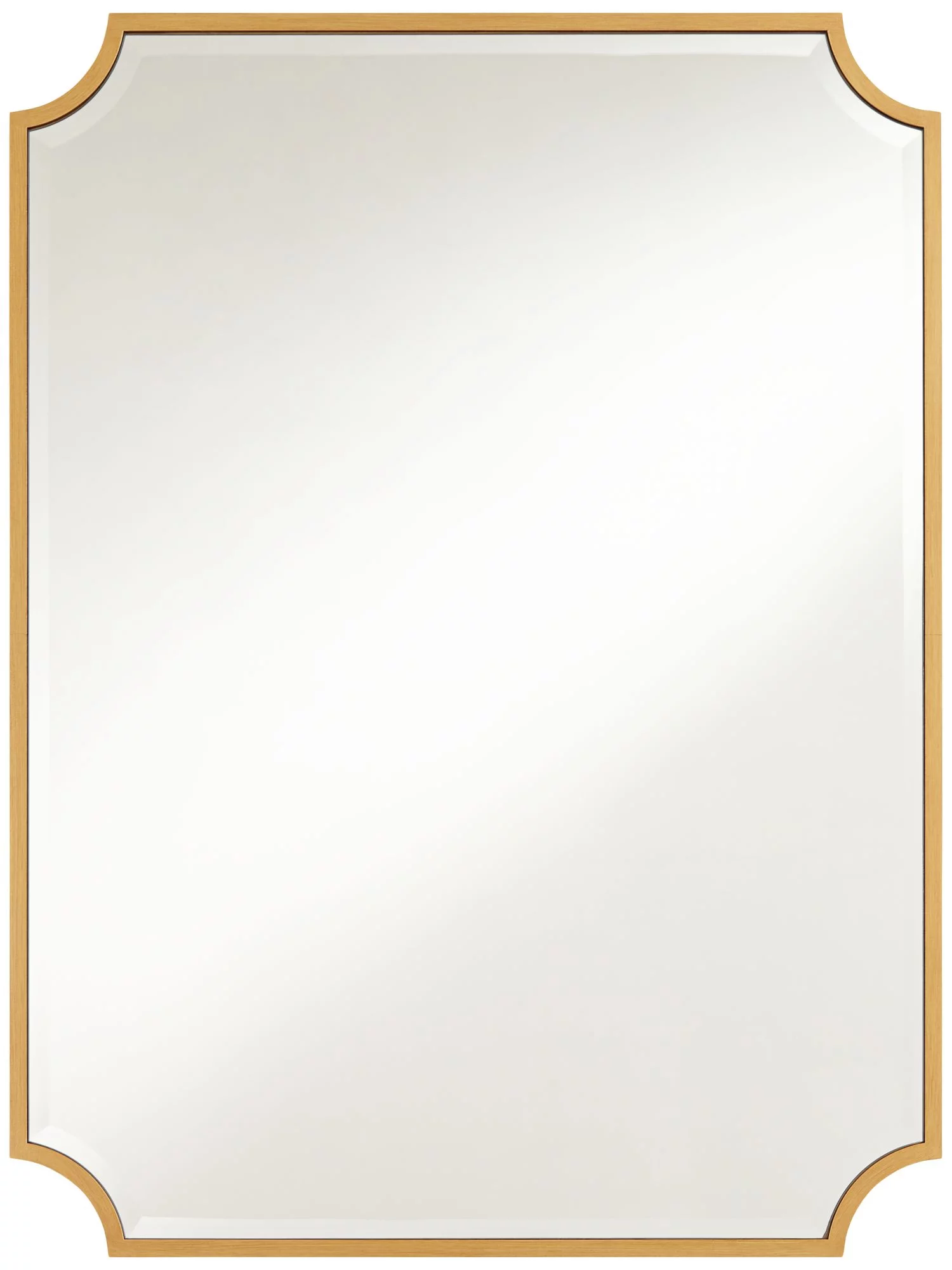 Noble Park Jacinda Rectangular Vanity Decorative Wall Mirror Modern Beveled Rounded Cut Edge Gold Frame 30
