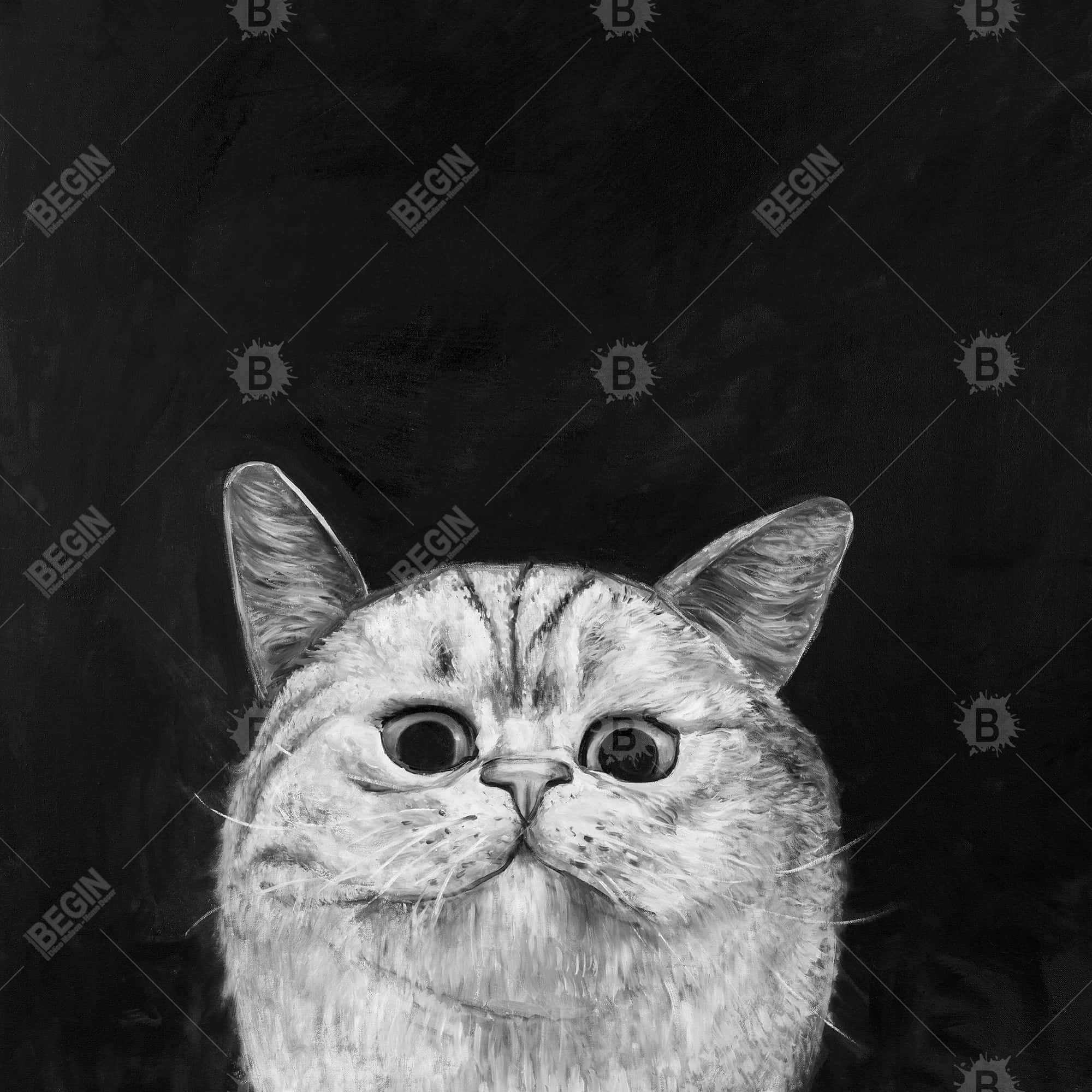 71