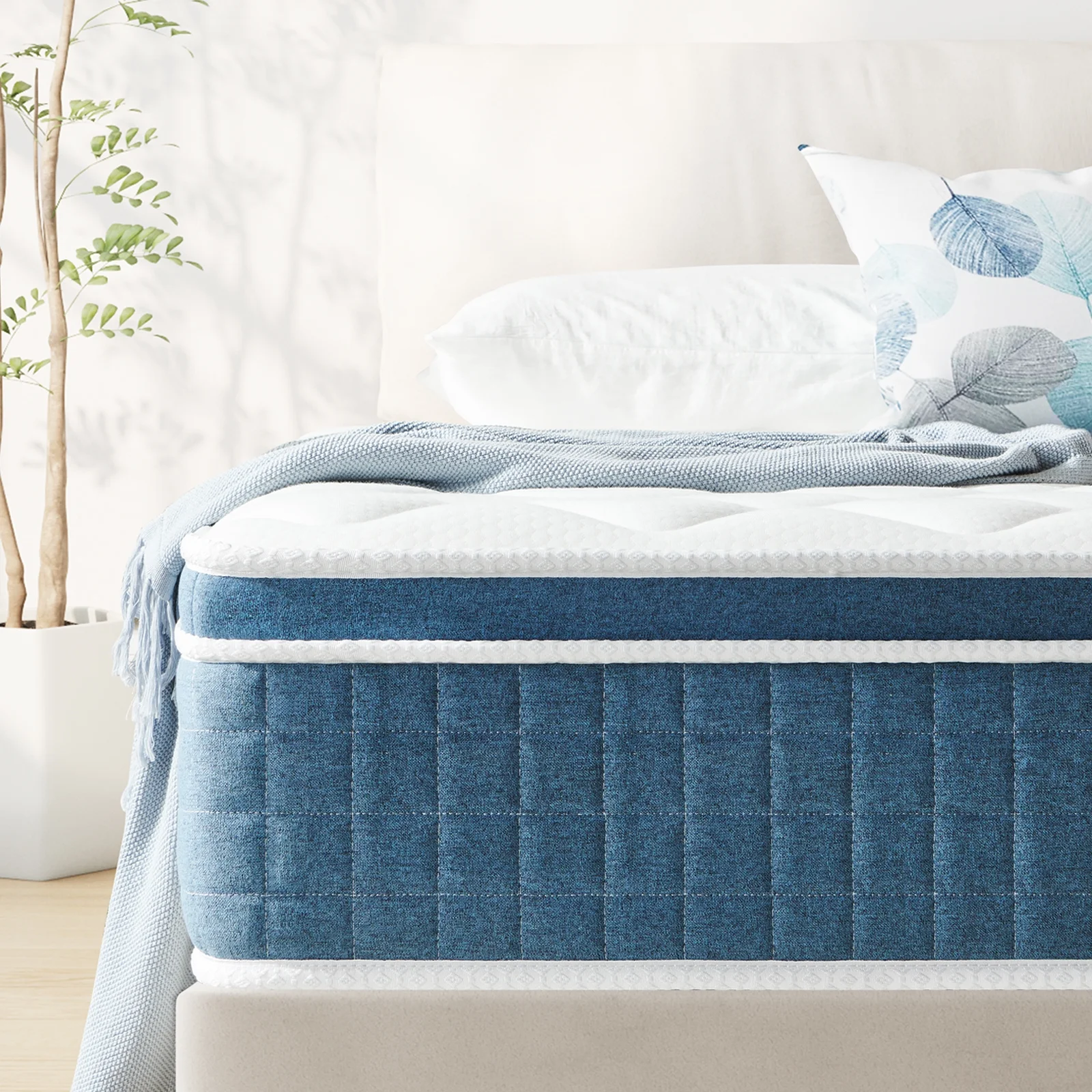 Queen Mattress, Potctz 10