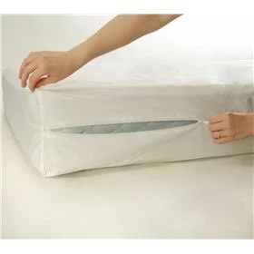 Dream Sleep Madison Gentle Plush Pillowtop King Mattress set with Mattress Cover Protector - Sleep System with Enhanced Cushion Support, Orthopedic and Longlasting Comfort
