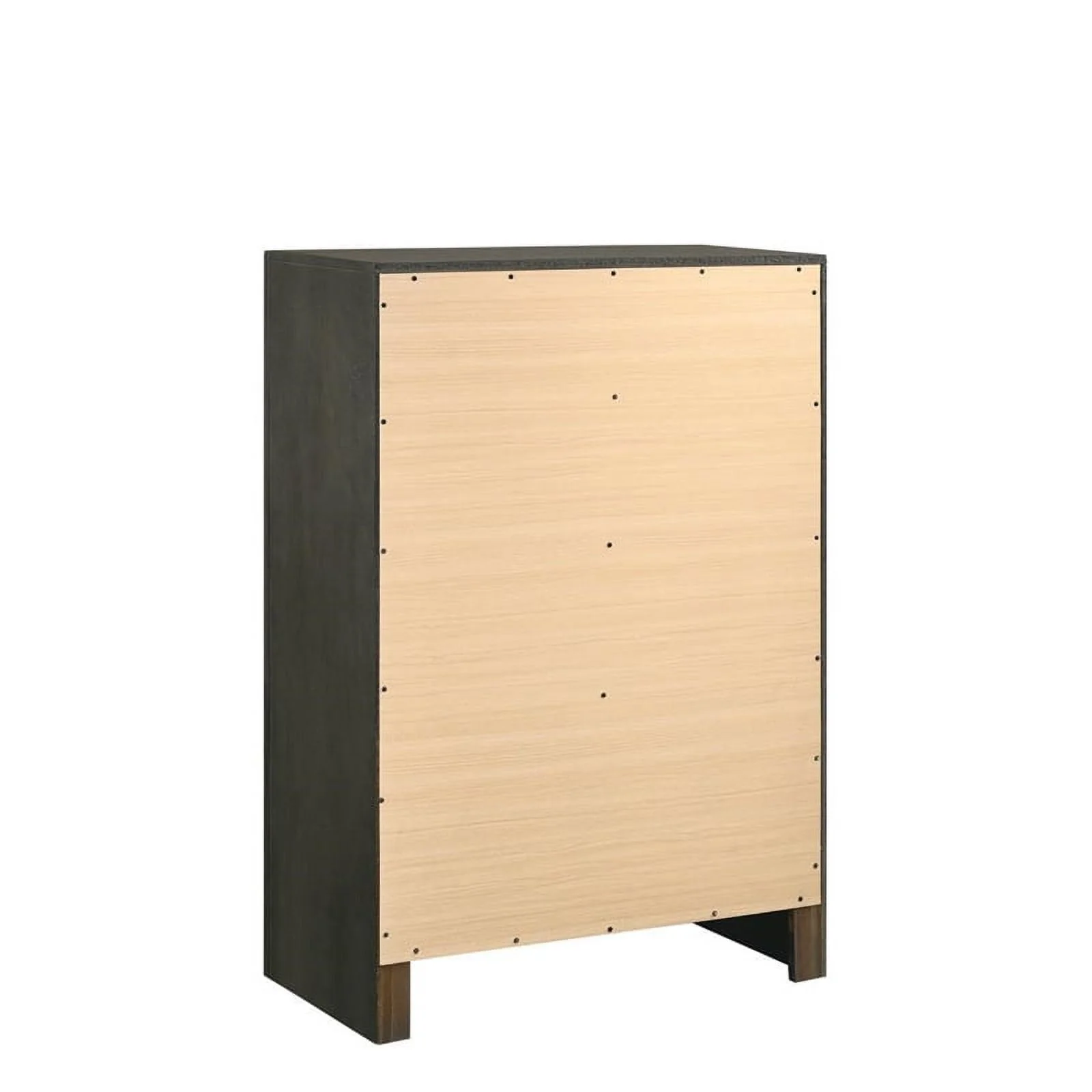 Pemberly Row 5-piece Wood Queen Sleigh Bedroom Set in Mod Gray