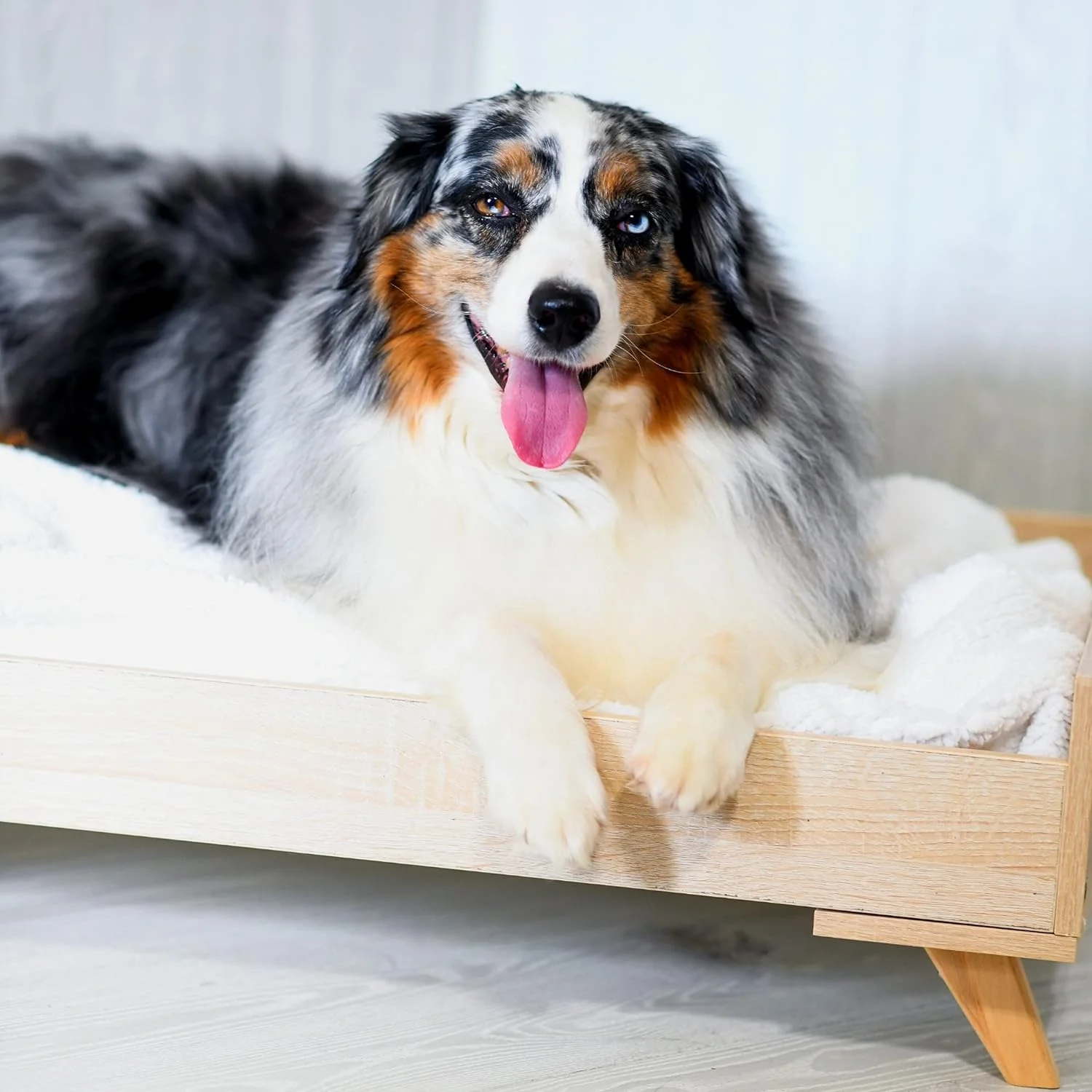 Raised Wooden Dog Bed Frame- Small