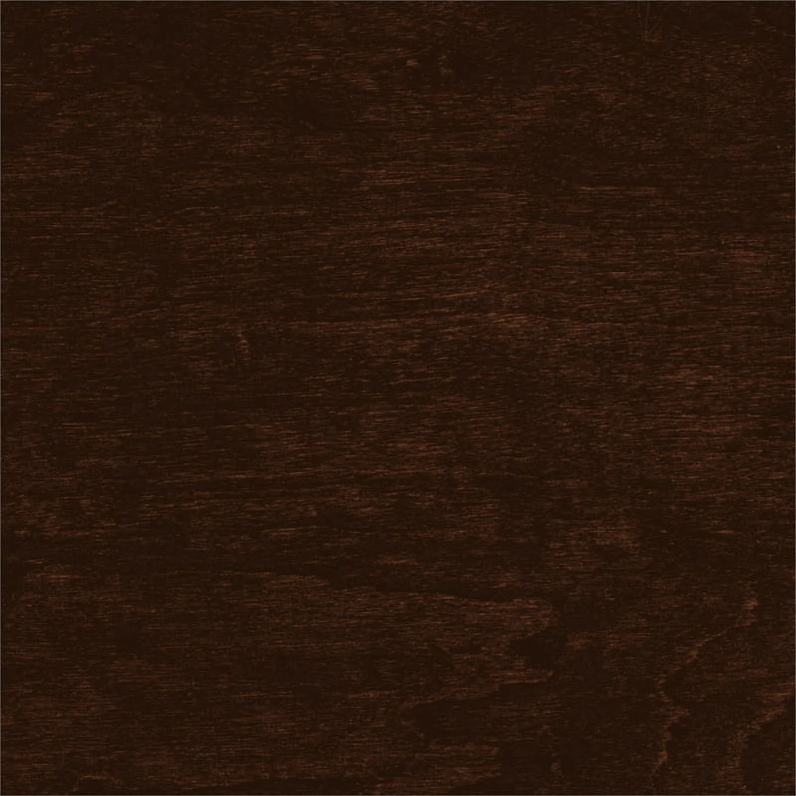 Lexicon Meghan 50 inches Traditional Wood Twin Daybed in Espresso