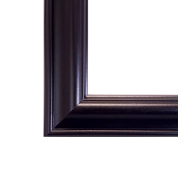 Single Diploma Frame with 5x7 Photo, Tassel and Double Matting for 10