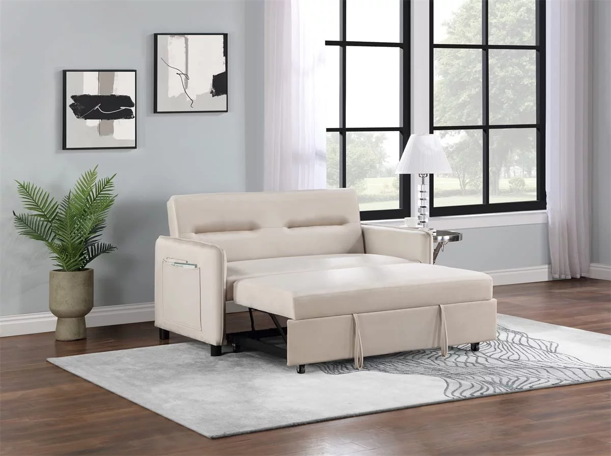 WILLIAMSPACE Sofa Bed -Pull Out Sofa Bed futon -Sleeper couches for Living Room-Suitable for Small Space, RV Sofa Bed, Lounge
