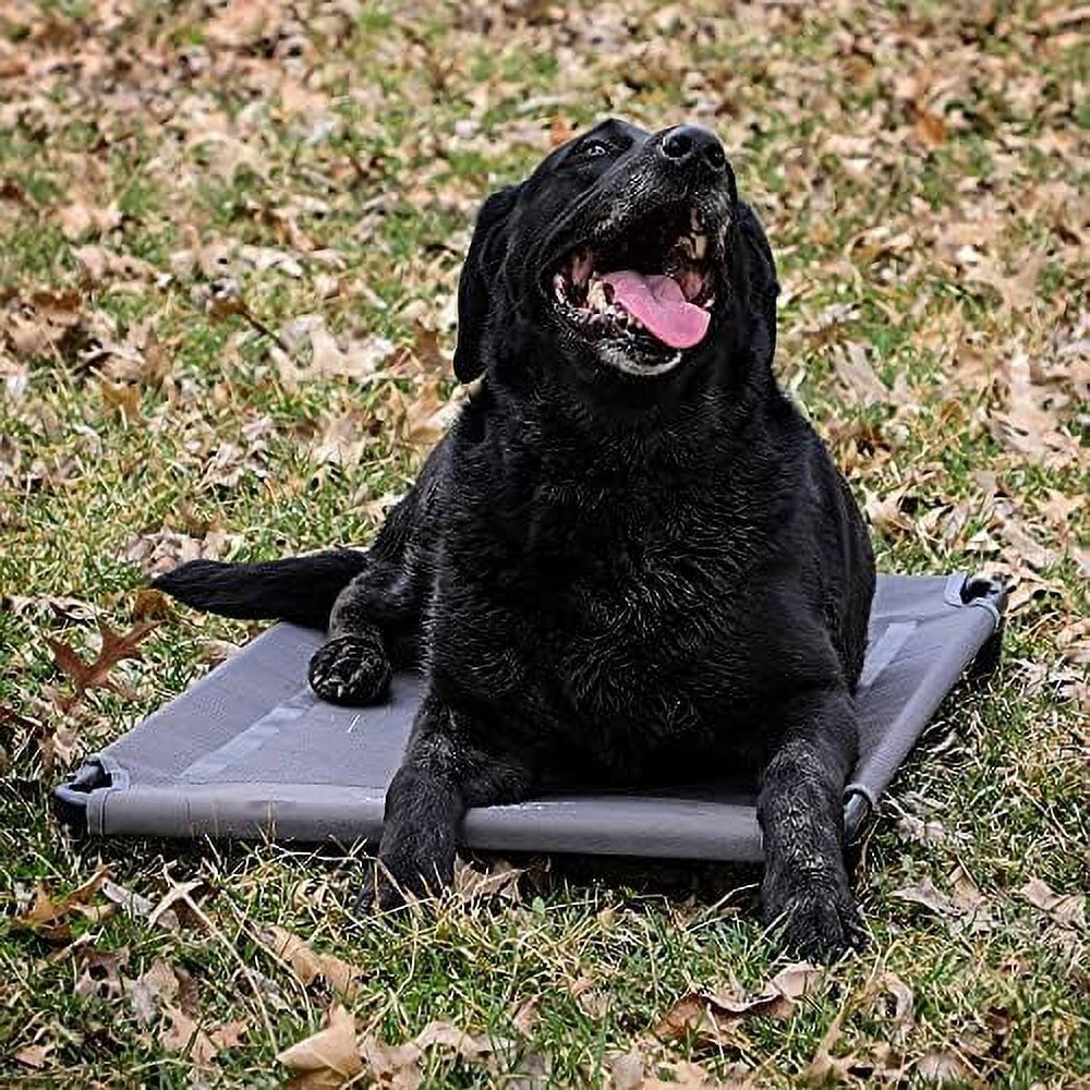 Low Profile Dog Cot For Kennels, Crates, Boats & Layout Binds | Comfortable Low Profile Platform & Frame Fits In Most Large Kennels