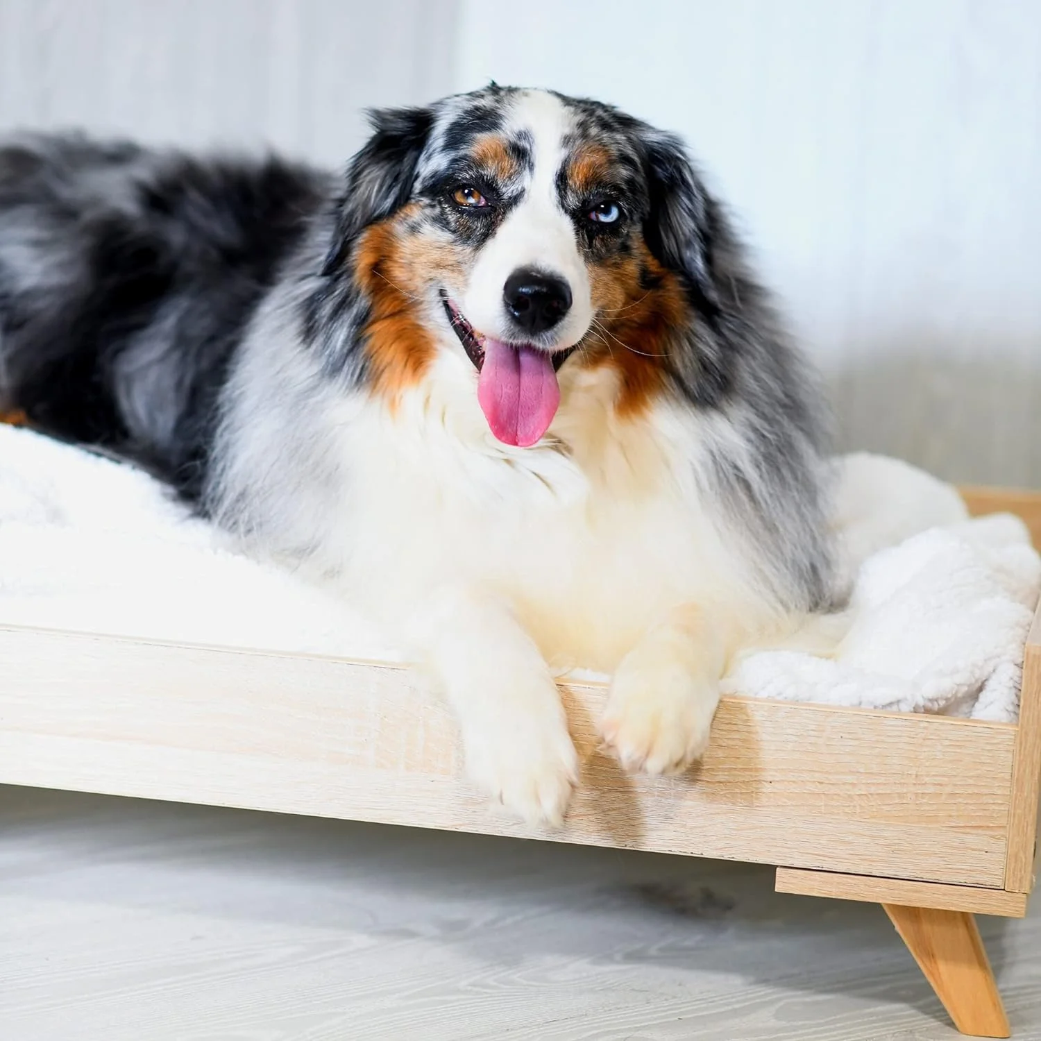 Raised Wooden Dog Bed Frame- Large