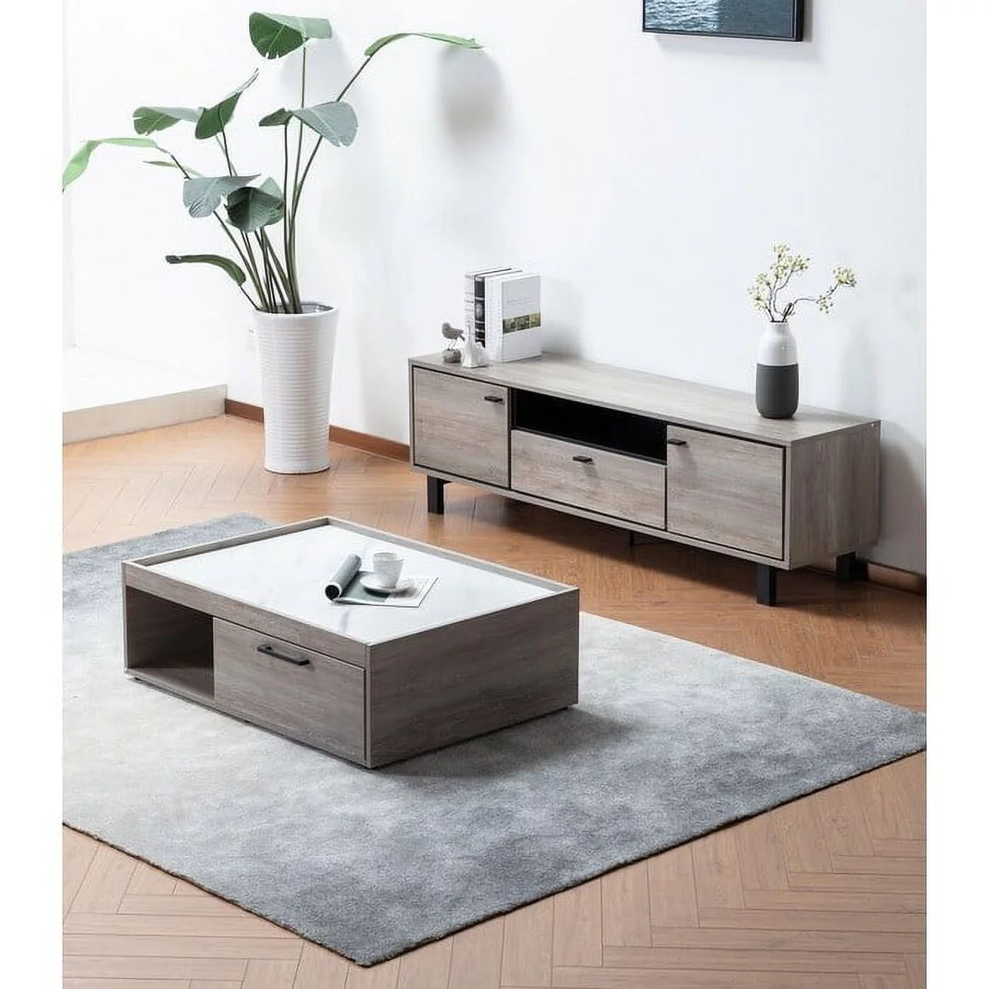 Apollo Gray Oak Finish TV Stand and Coffee Table Set