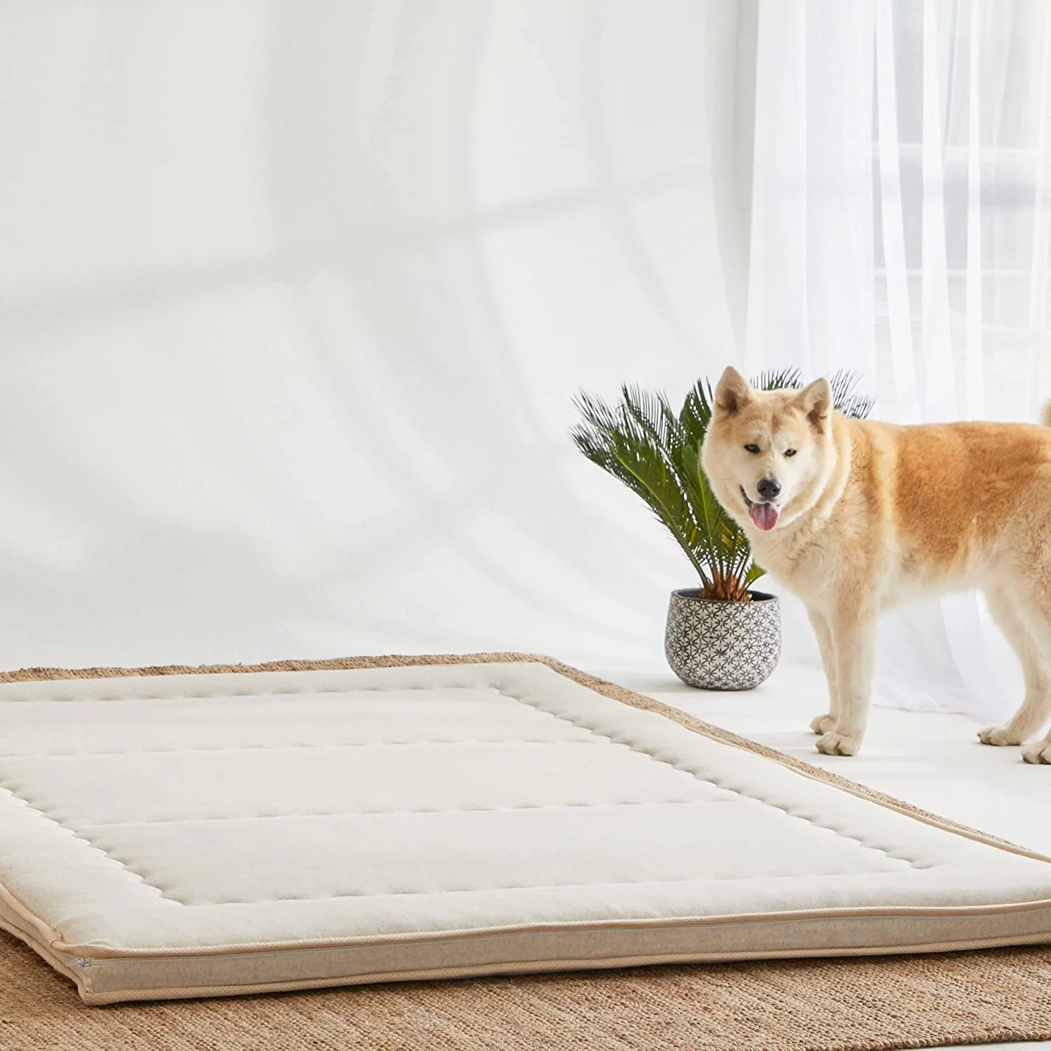 WoW Futon Japanese Floor Mattress Merino Wool 3.5