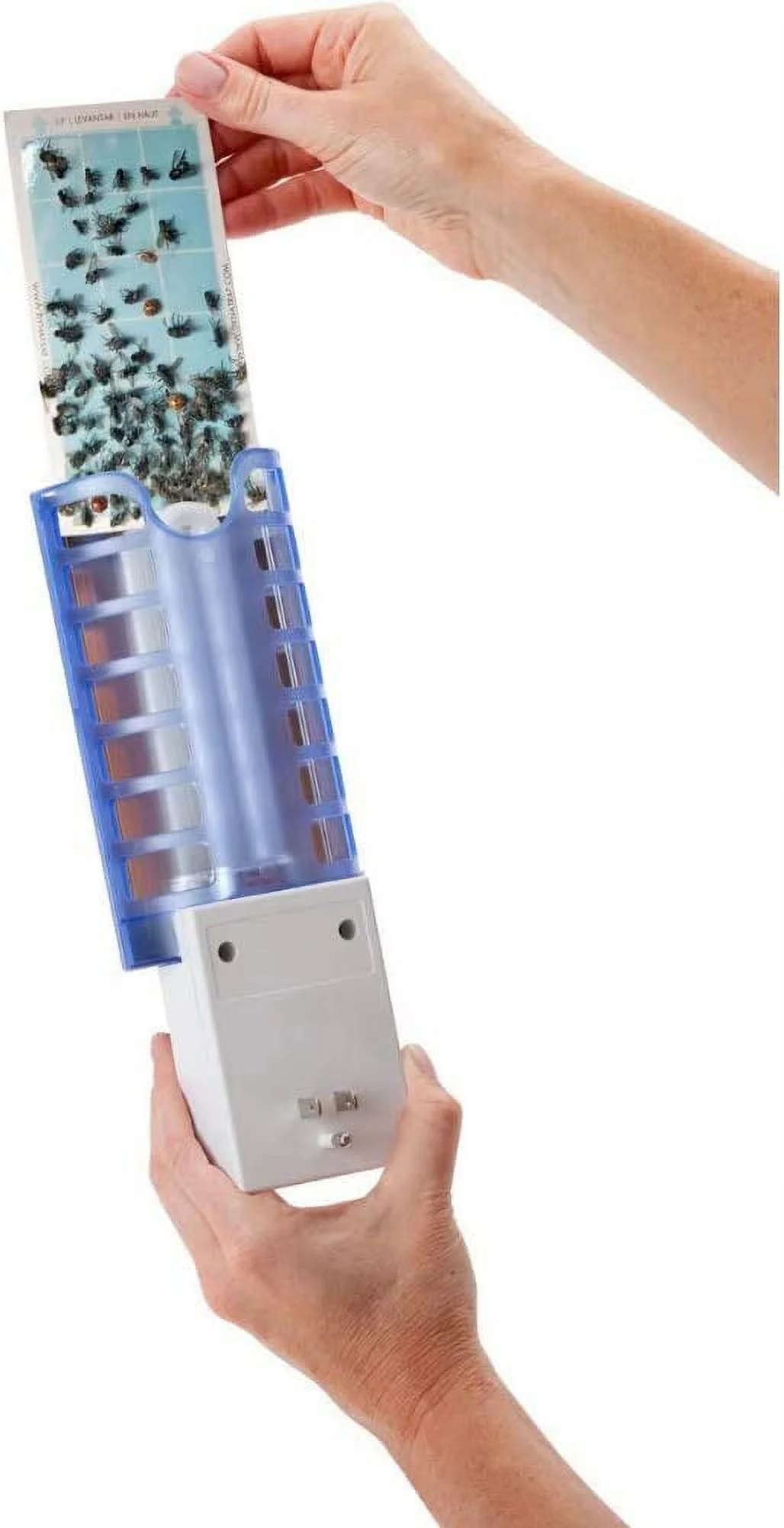 Dynatrap Flylight Insect Trap,(2) AC Outlets DT3019W-1003P