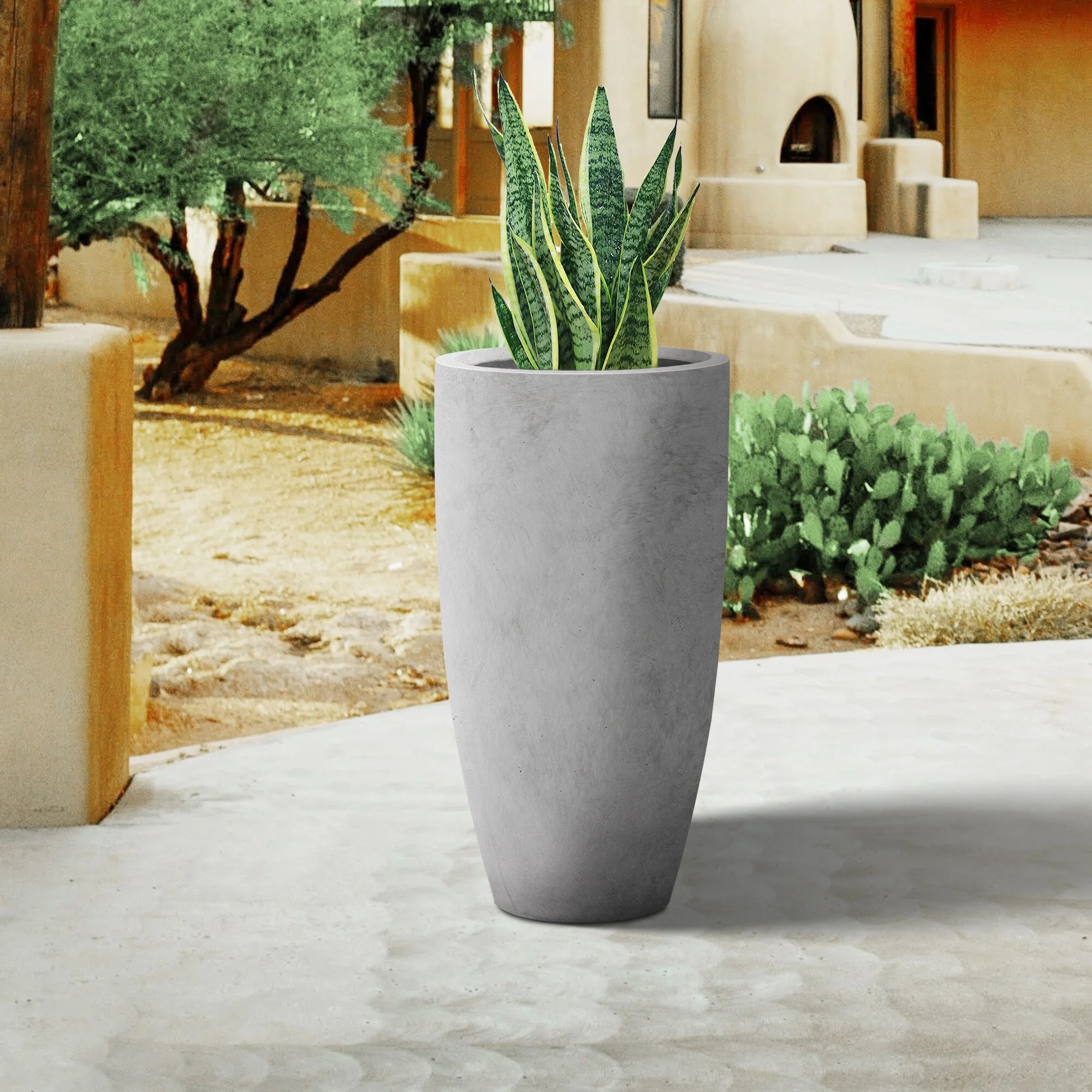 Plantara 24