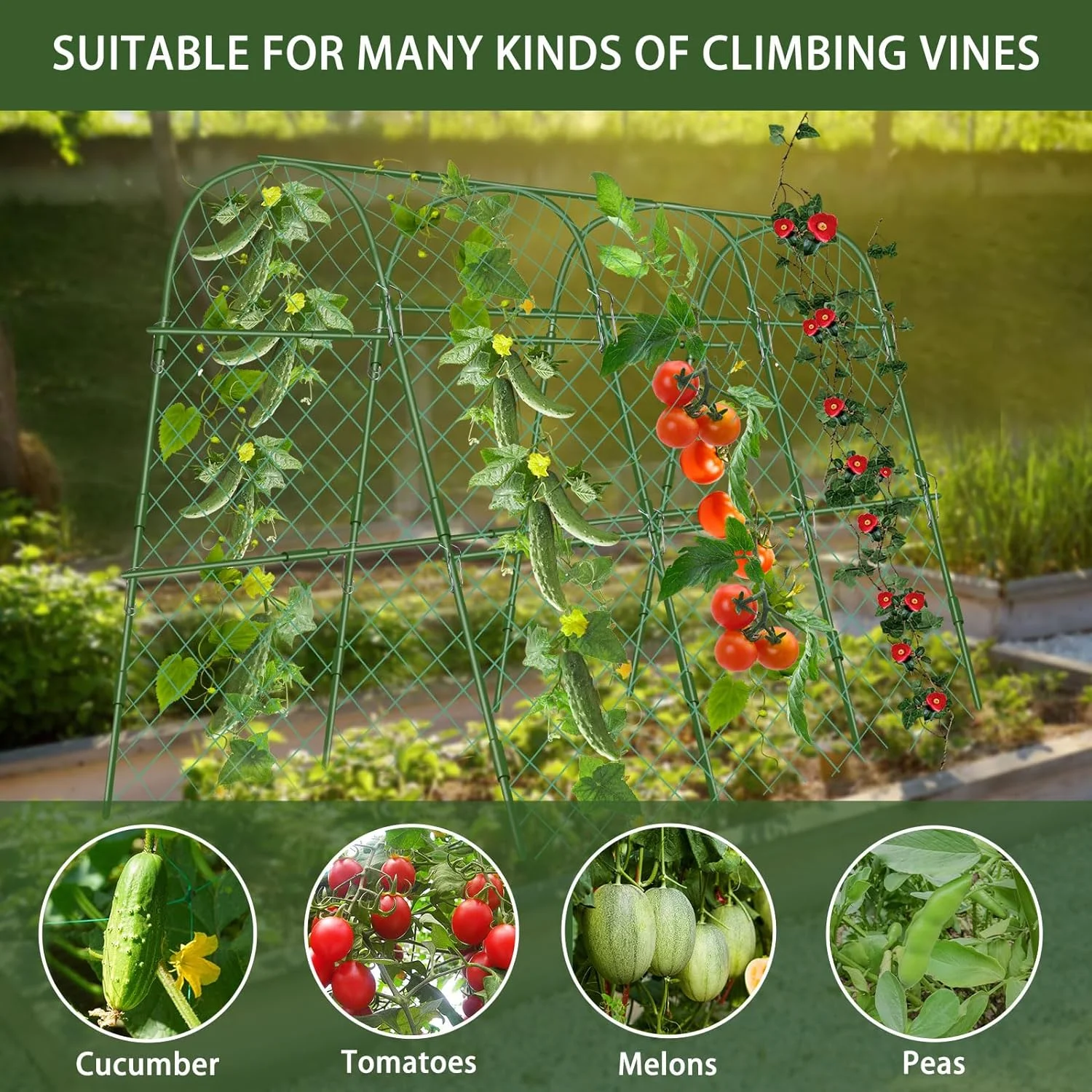 Cucumber Trellis for Raised Beds  63 x 47 Inch Garden Arch Trellis for Climbing Plants Outdoors with Climbing Net  Detachable Cucumber Trellis Support for Tomato  Squash  Zucchini