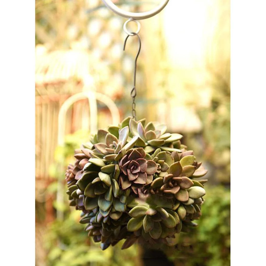 13cm&28cm Retro Iron Ball Shape Succulent Pot Metal Hanging Plant Holder