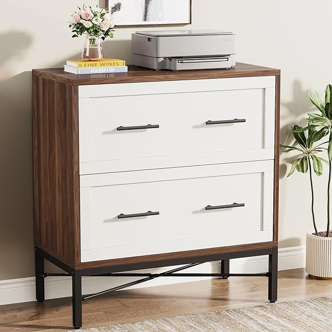Lateral Filing Cabinet 2 Drawers, Modern File Cabinet for Letter/Legal/A4 Size, Large Storage Cabinets Printer Stand, Black, Gold and Brown