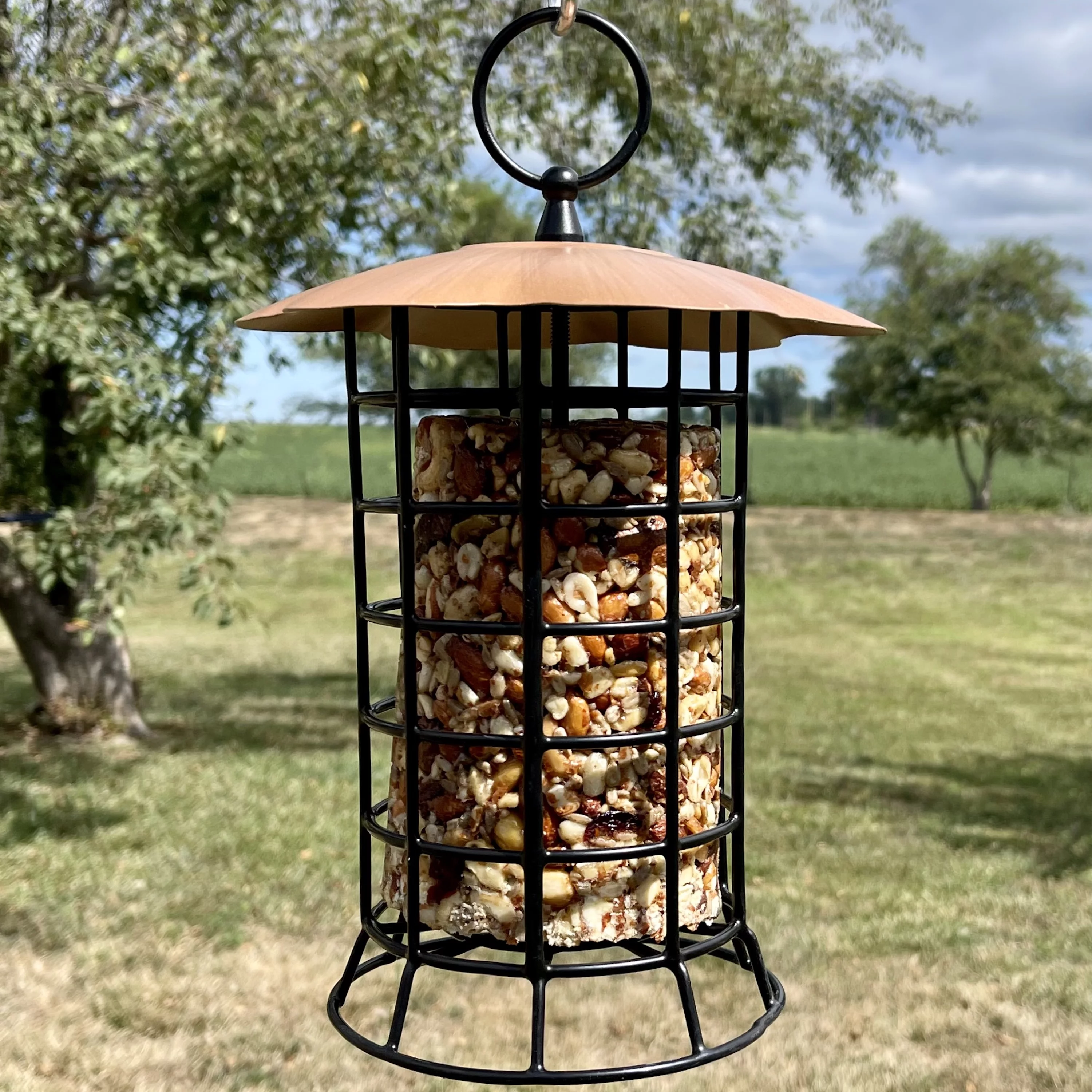 Songbird Essentials Suet Feeder Hanging Metal Bird Feeder for Suet Logs, 1 Log Capacity Copper
