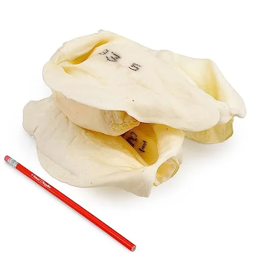 ValueBull Premium Cow Ears, Large, 60 Count Bulk Pack - All Natural Dog Treats, 100% Angus Beef, Single Ingredient Rawhide Alternative, Cleans Teeth & Gums