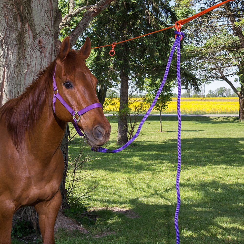 4 Horse Picket Line Kit