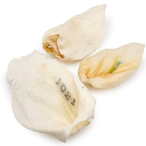 ValueBull Premium Cow Ears, Large, 60 Count Bulk Pack - All Natural Dog Treats, 100% Angus Beef, Single Ingredient Rawhide Alternative, Cleans Teeth & Gums