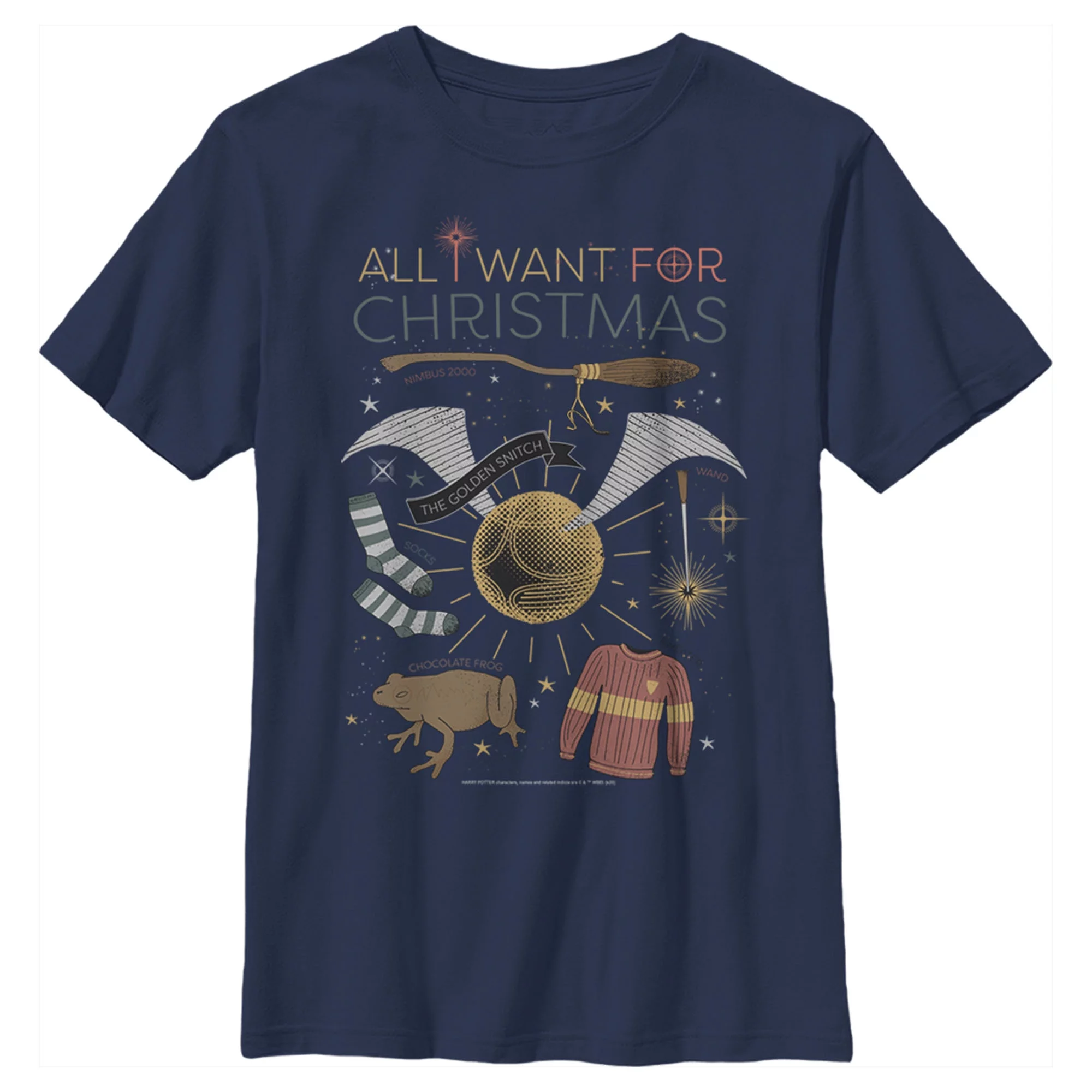 Boy's Harry Potter All I Want for Wizard Christmas  Graphic Tee Navy Blue X Small