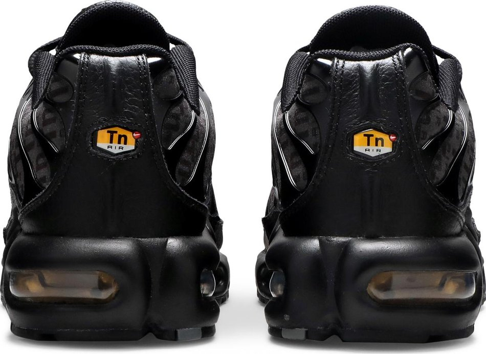 Air Max Plus 'Black' DD9609-001 - vstockx