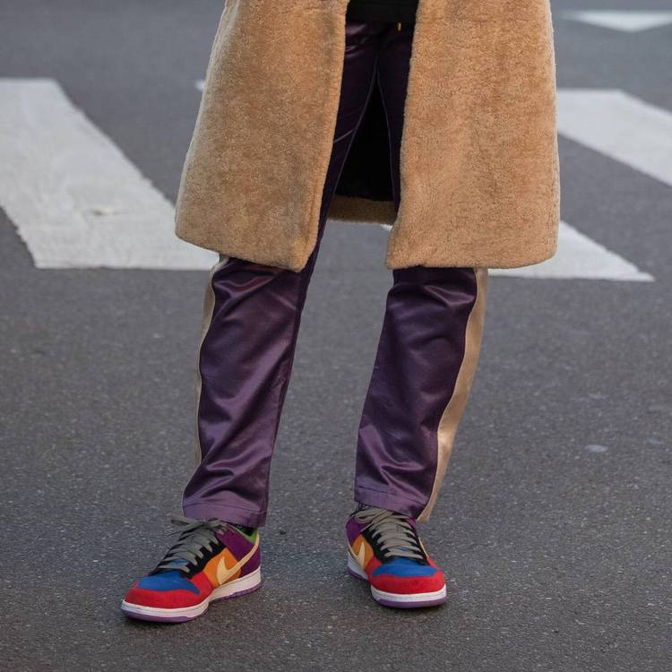 Dunk Low SP Retro  Viotech  2019 CT5050-500 - vstockx