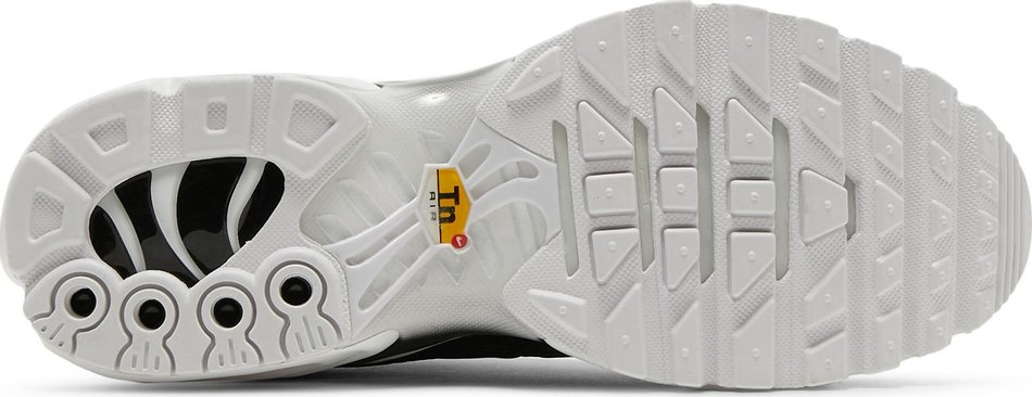 Air Max Plus 'Black White' DM2362-001 - vstockx