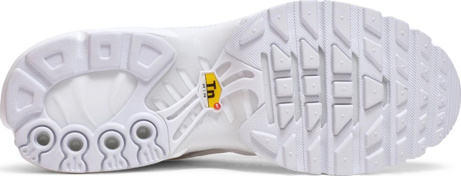 Air Max Plus 'Triple White' DM2362-100 - vstockx