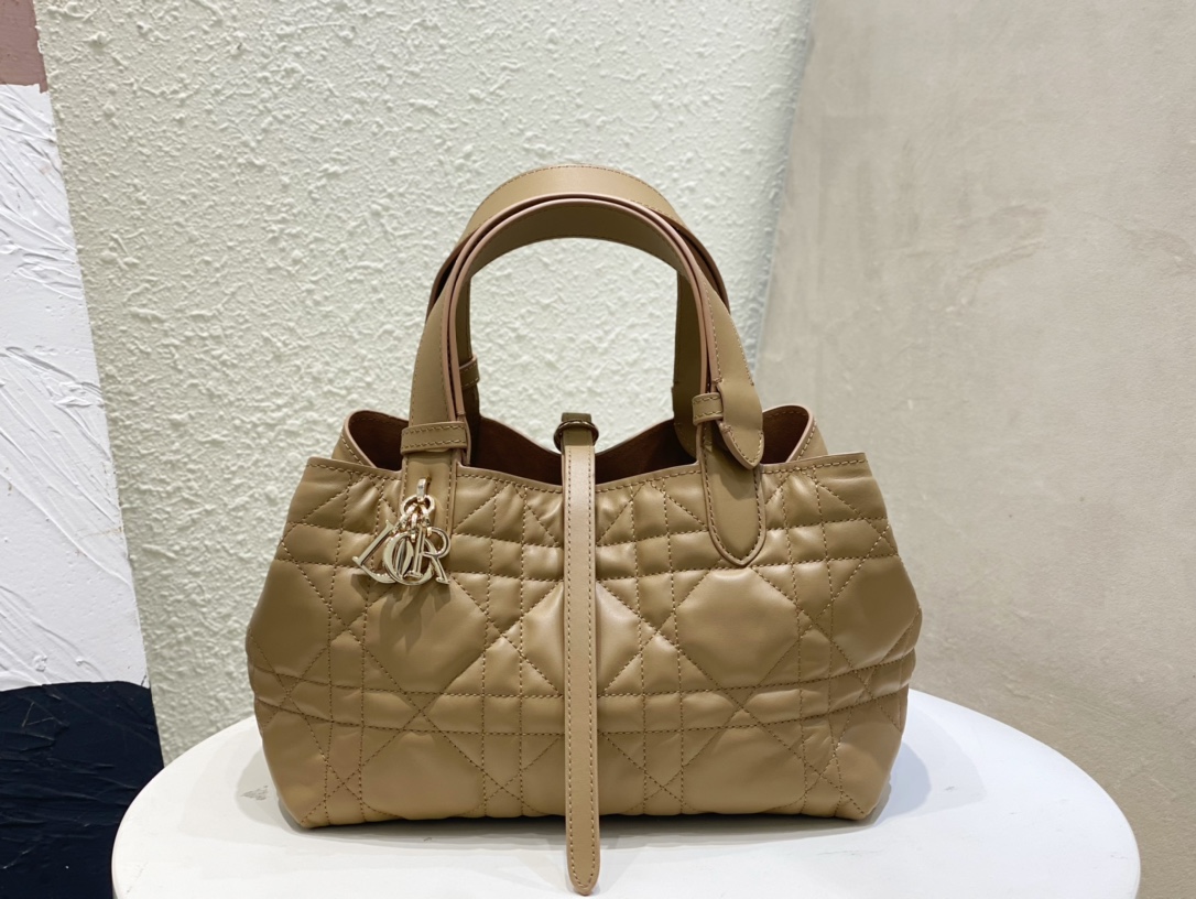 Handbags Dior 6230 size  23*15*15 cm - vstockx