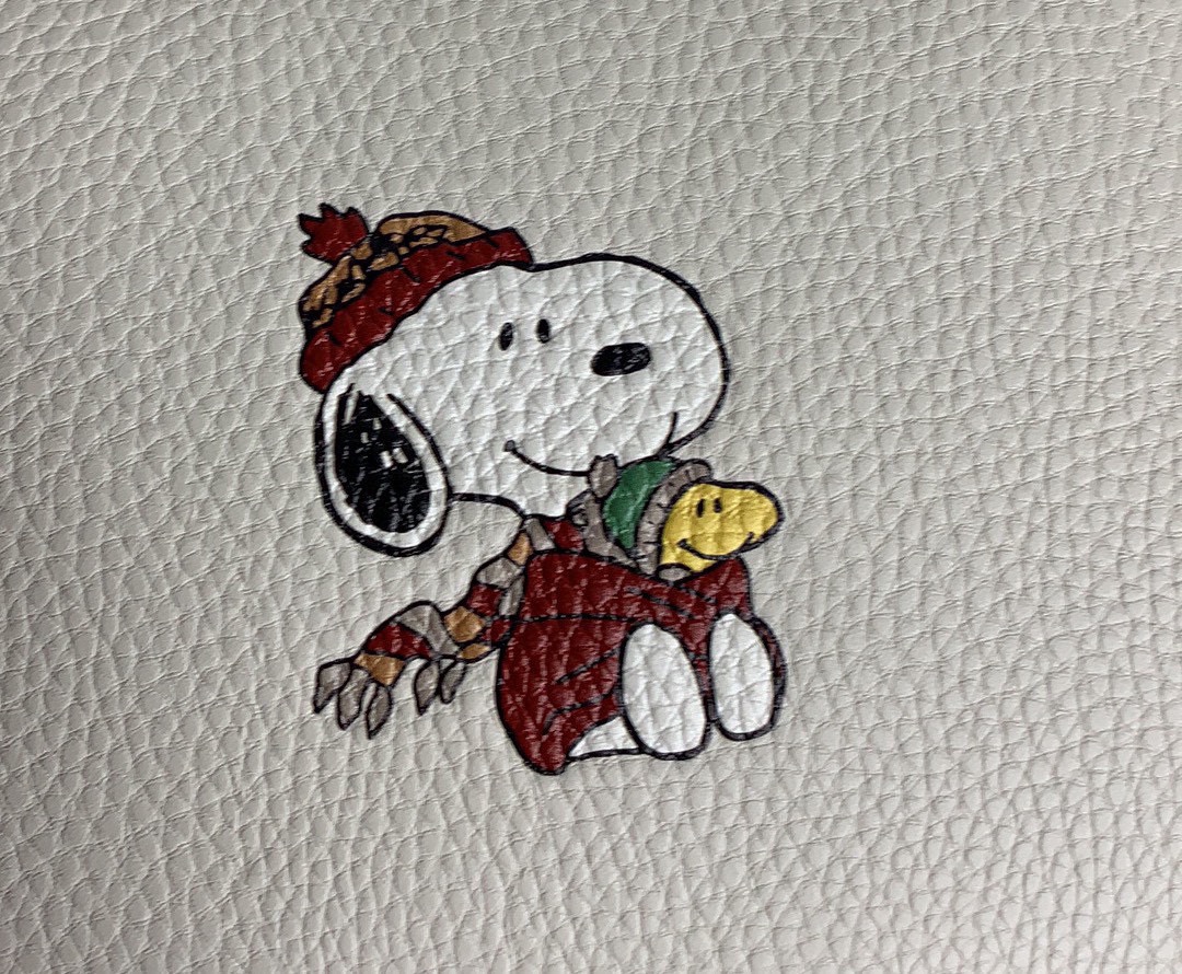 Handbags Coach CF249 size:18*10*5 - vstockx