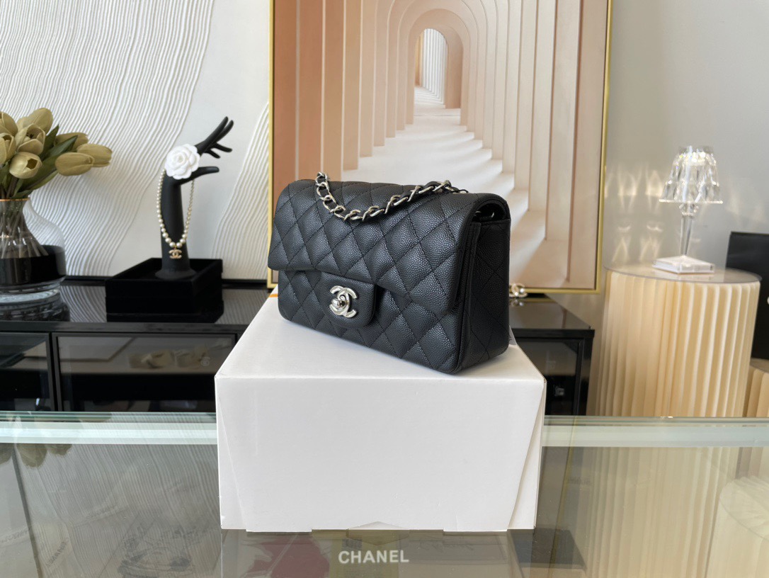 Handbag Chanel 01116 size 20 cm - vstockx