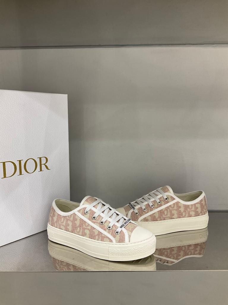 Dior Walk'N'Dior Nude Oblique Embroidered - vstockx