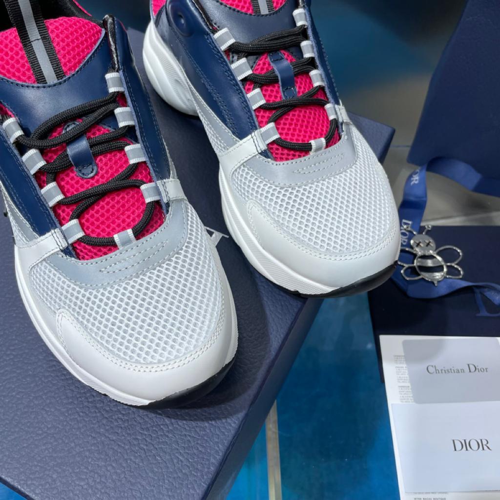 Dior B22 Pink Blue - vstockx