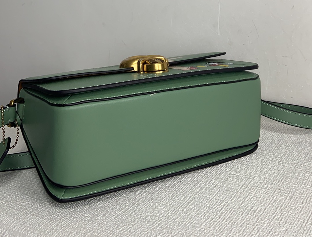 Handbags Coach CH467 size:25*14*6cm - vstockx