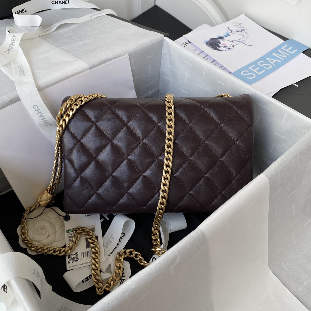 Handbag Chanel AS3609 size 16*25*10 cm - vstockx