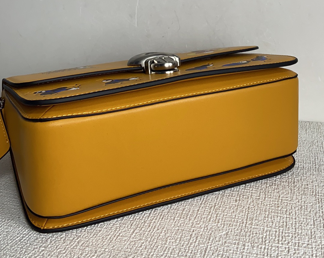 Handbags Coach CH750 size:23*14*5 - vstockx