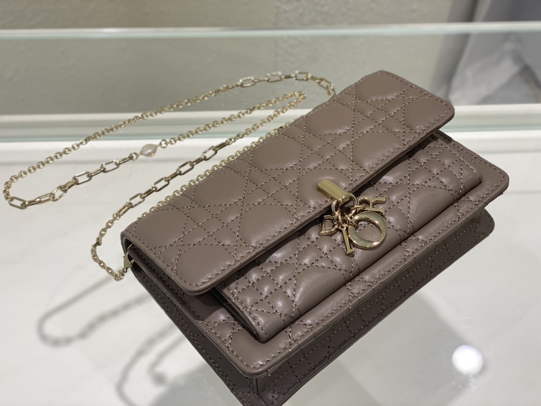 Handbags Dior 3105 size:19.5 x 12.5 x 5 cm - vstockx