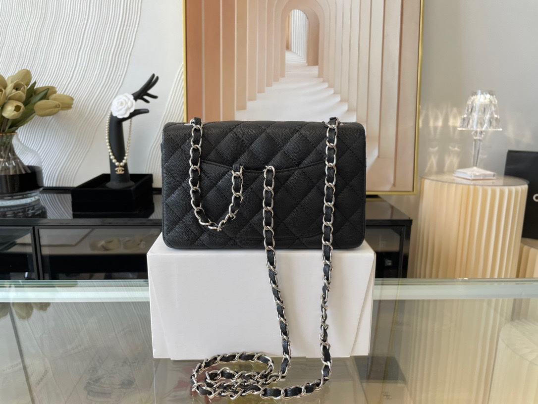 Handbag Chanel 01116 size 20 cm - vstockx