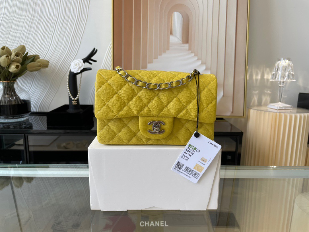 Handbag Chanel 01116 size 20 cm - vstockx
