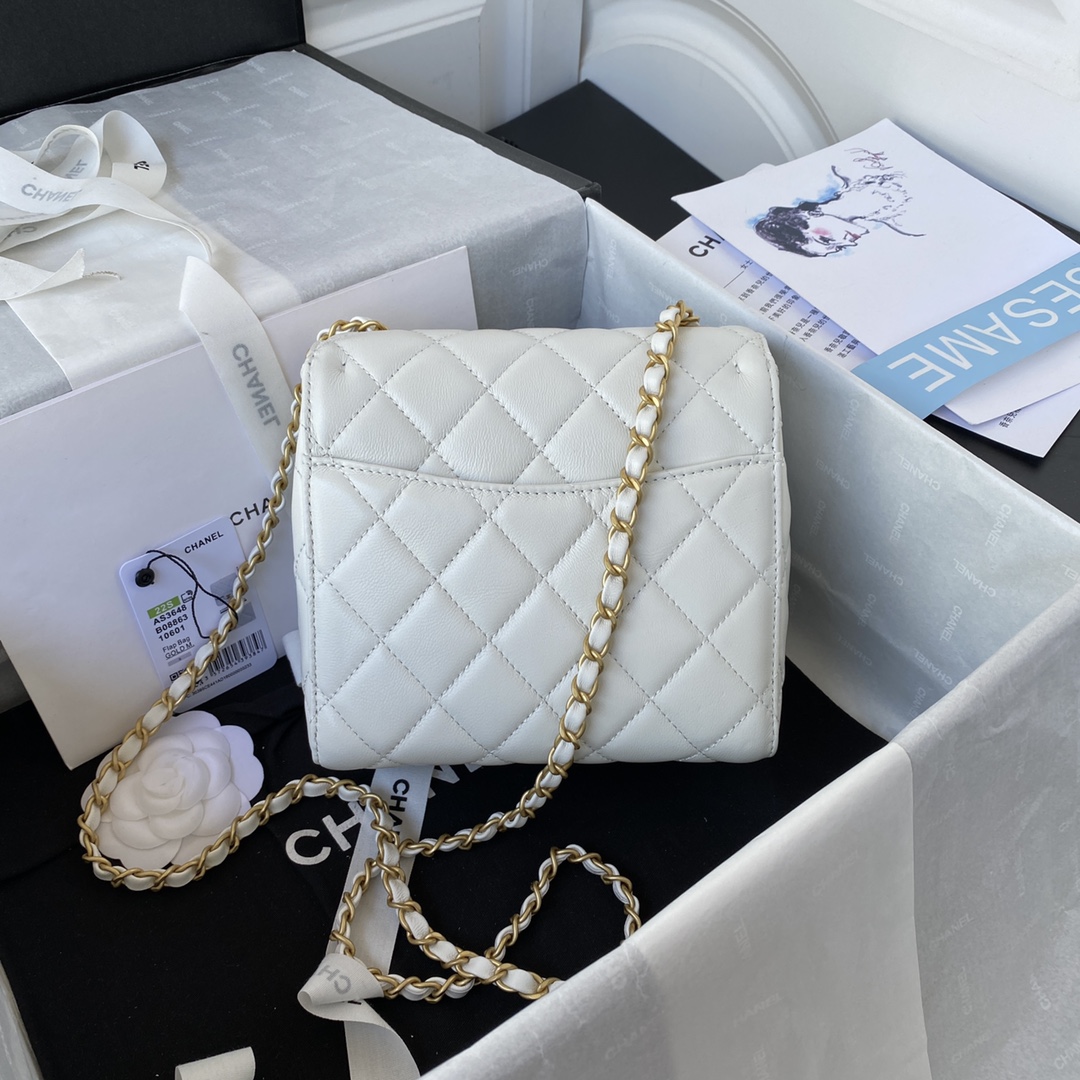 Handbag Chanel AS3648 size 17X14.5X7.5 cm - vstockx