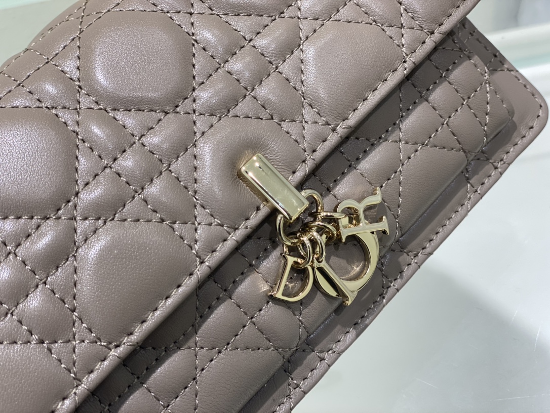 Handbags Dior 3105 size:19.5 x 12.5 x 5 cm - vstockx