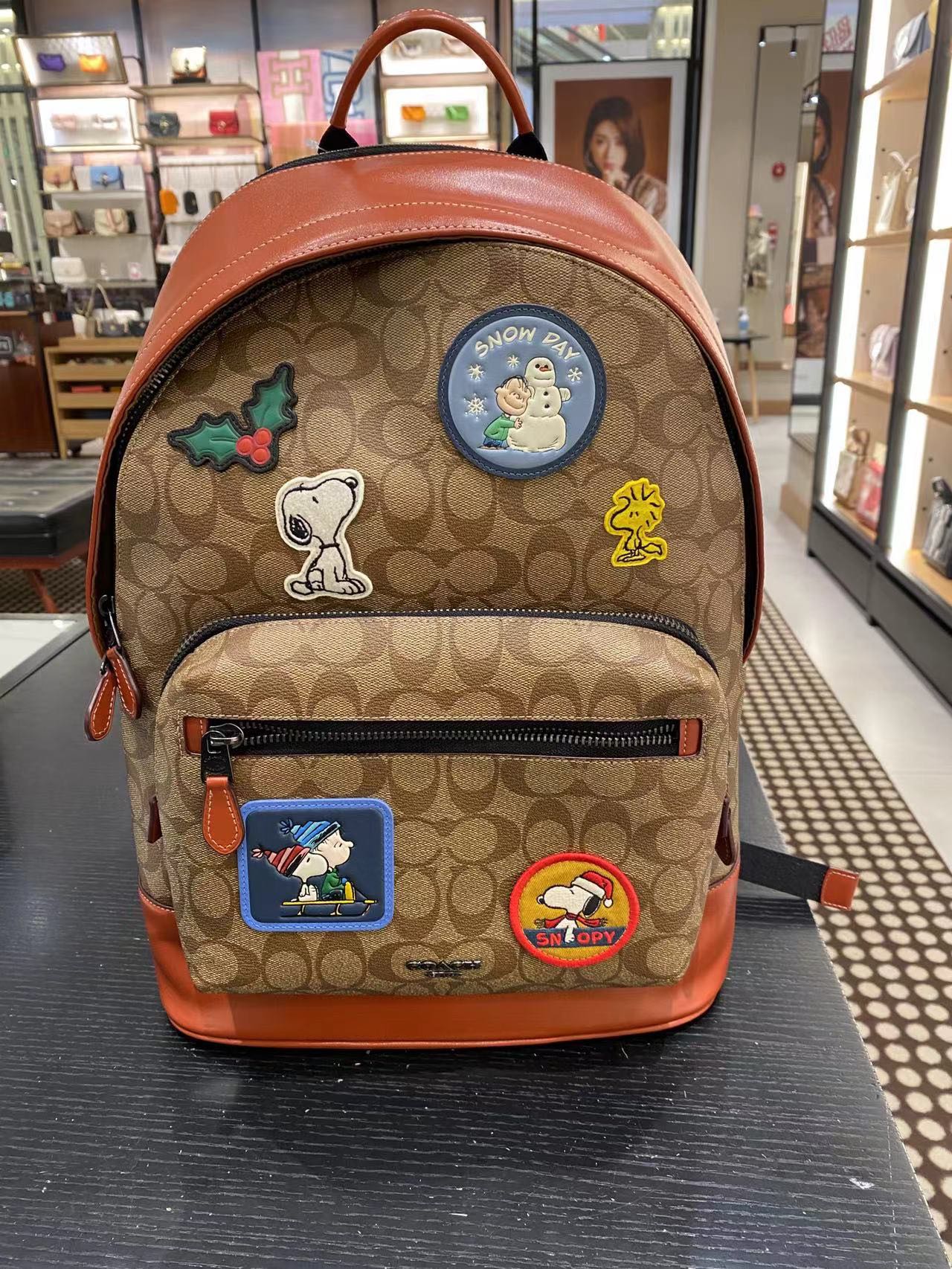 Handbags Coach CE487 size:42.5*32*15 - vstockx