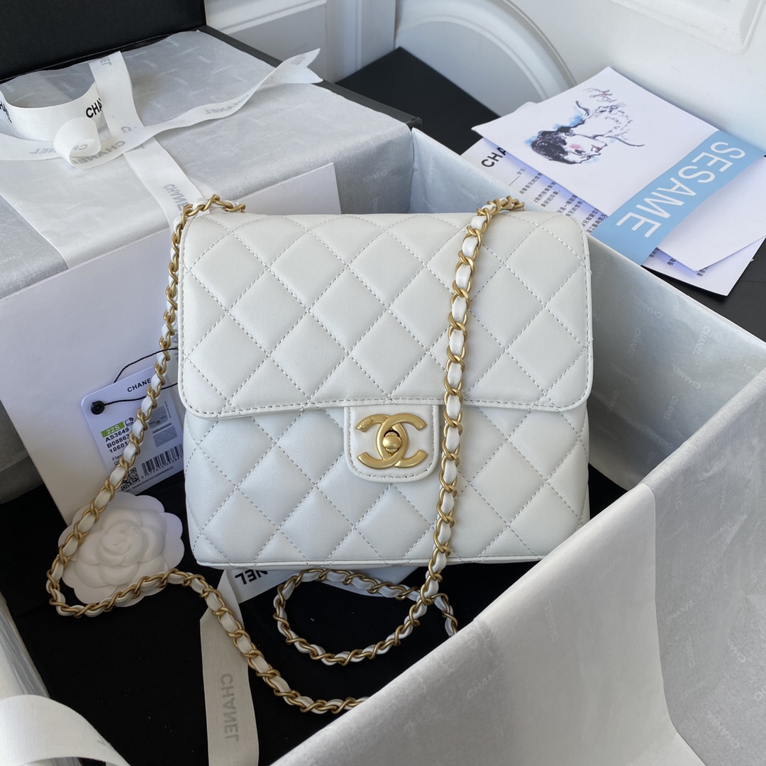 Handbag Chanel AS3649 size 18X19.5X9.5 cm - vstockx