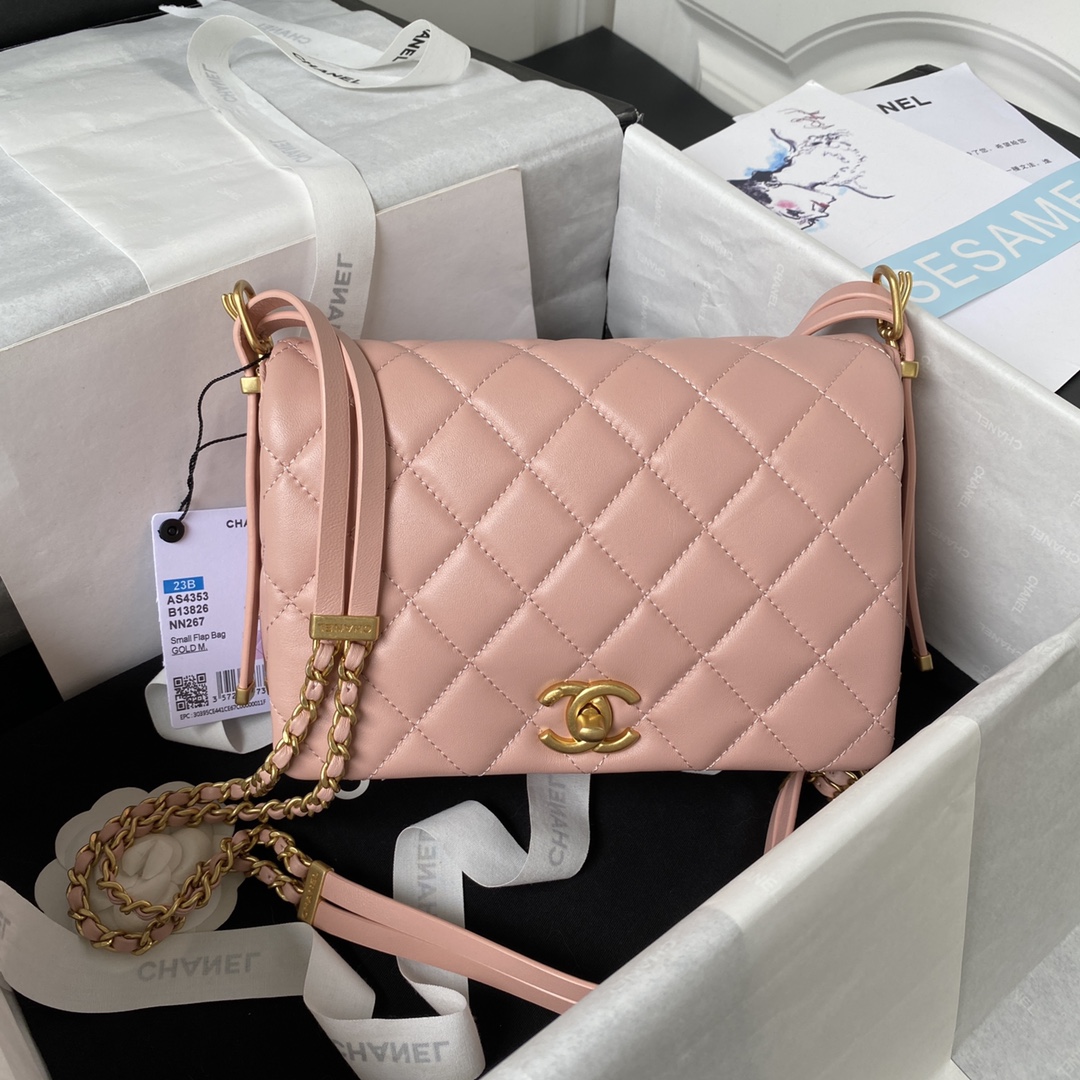 Handbags Chanel AS4353 size:15X21.5X7 cm - vstockx