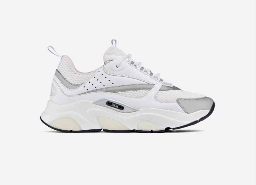 Dior B22 White Silver - vstockx